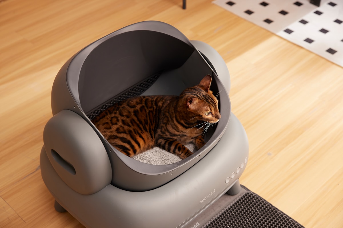 Cat Litter hub hero image