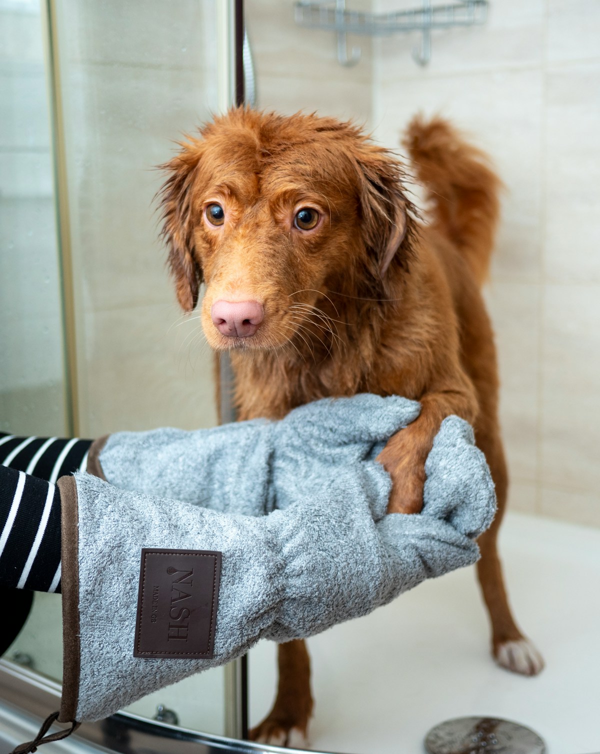 Groomer preparing a dog grooming tub with towels and brushing tools before bathing