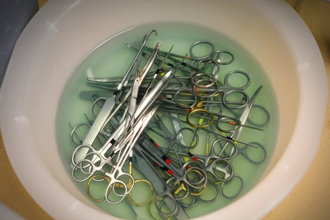 Dog health hub hero image with veterinarian exam context