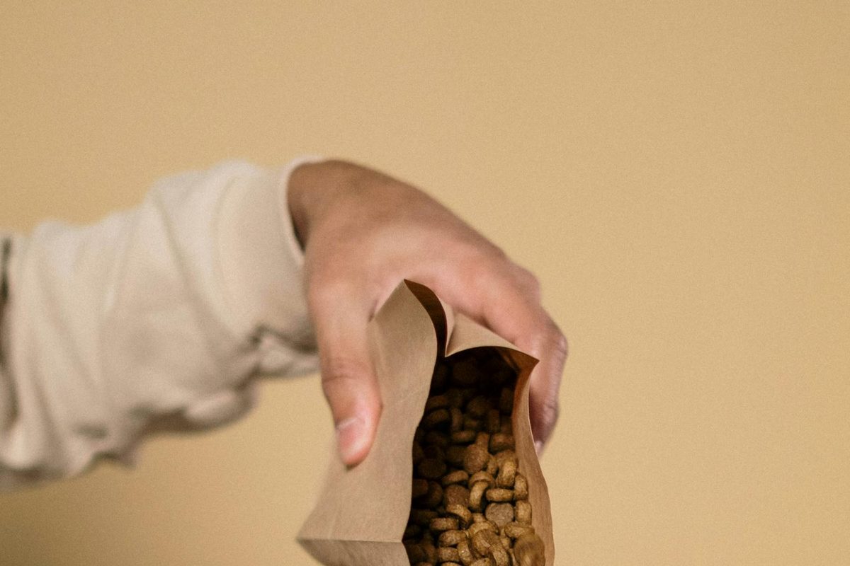 Dog engaged with an enrichment toy, a calming activity that helps reduce anxiety in dogs
