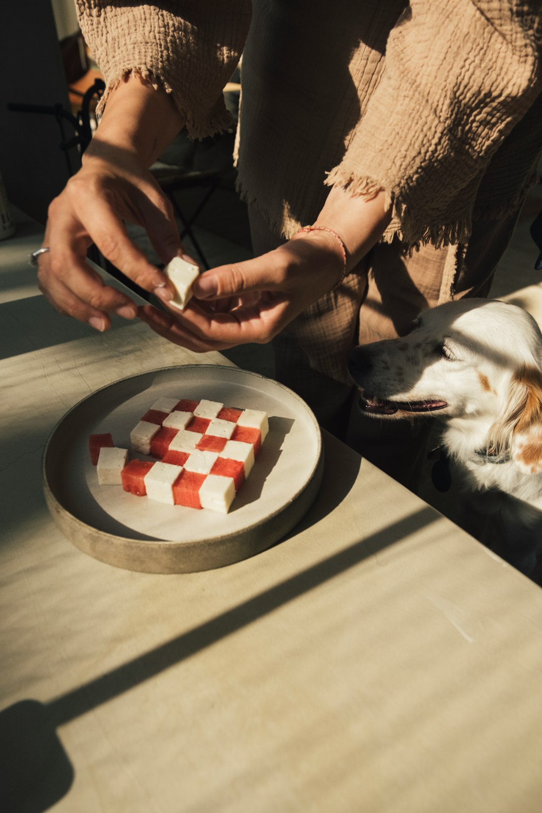 Best treats for dogs with pancreatitis product lineup with low-fat labels