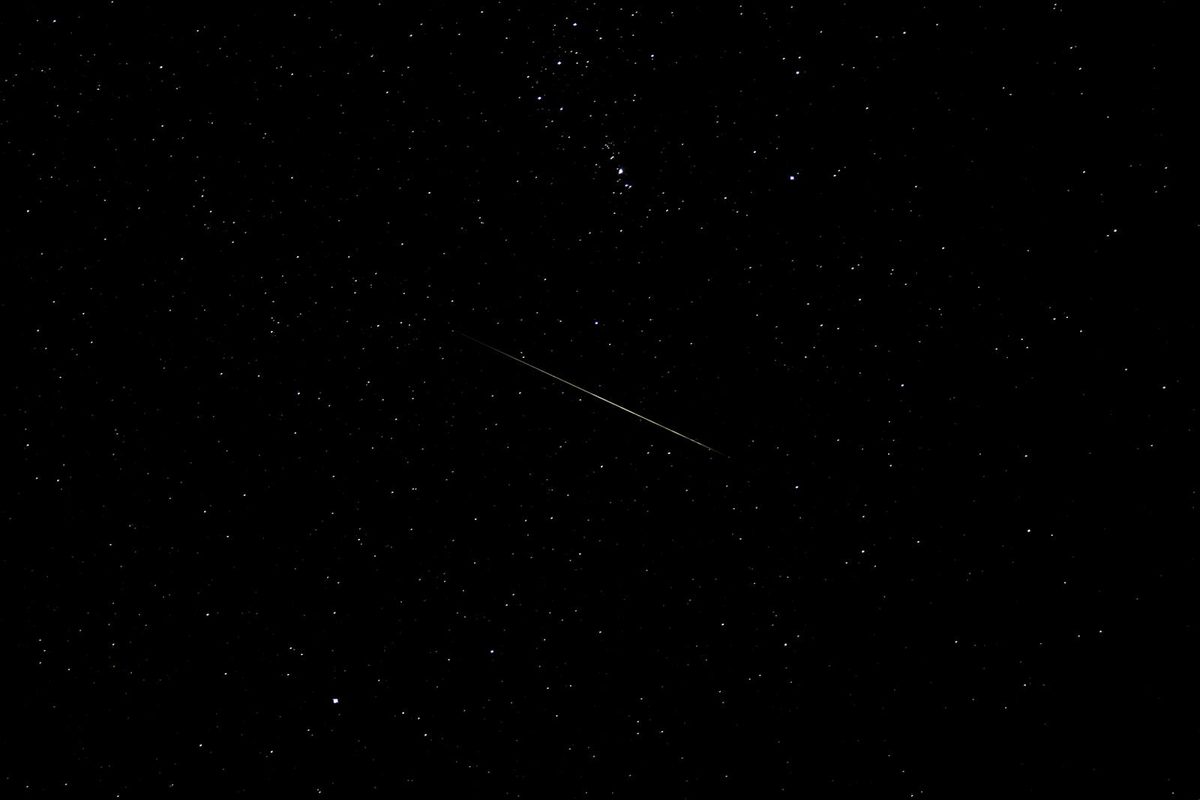 Memorial keepsakes and urn options for dog cremation